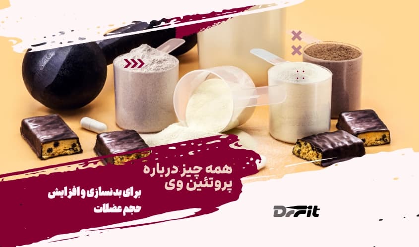 همه چیز درباره پروتئین وی برای بدنسازی و افزایش حجم عضلات