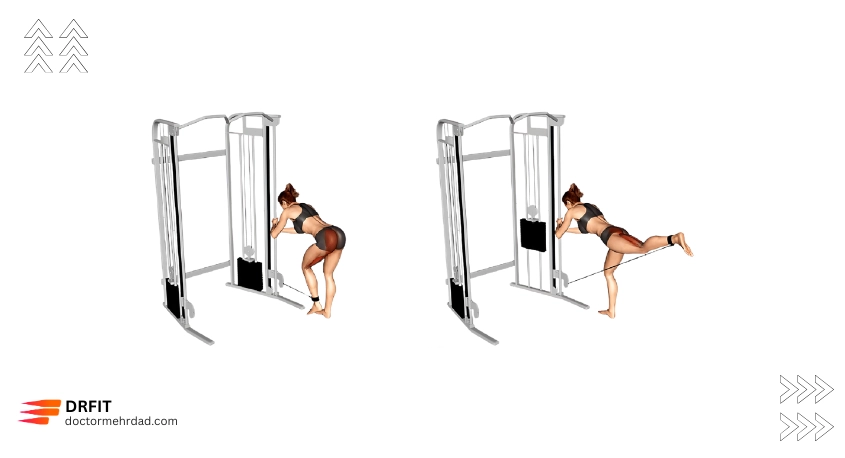 کیبل کیک بک