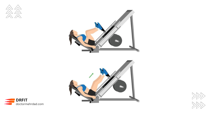 پرس پا (Leg Press)