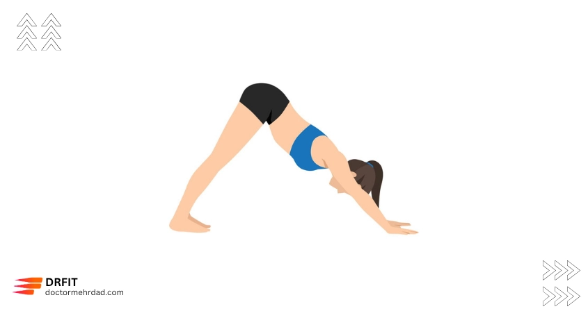 حرکت سگ سرپایین (Downward-Facing Dog)