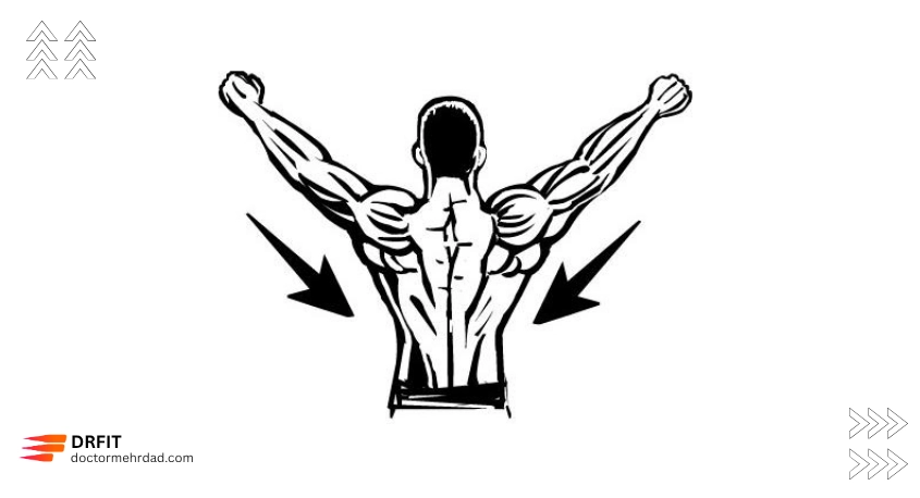 ۱۰ حرکت برتر لت و زیربغل (به‌همراه توضیح اجرای صحیح)