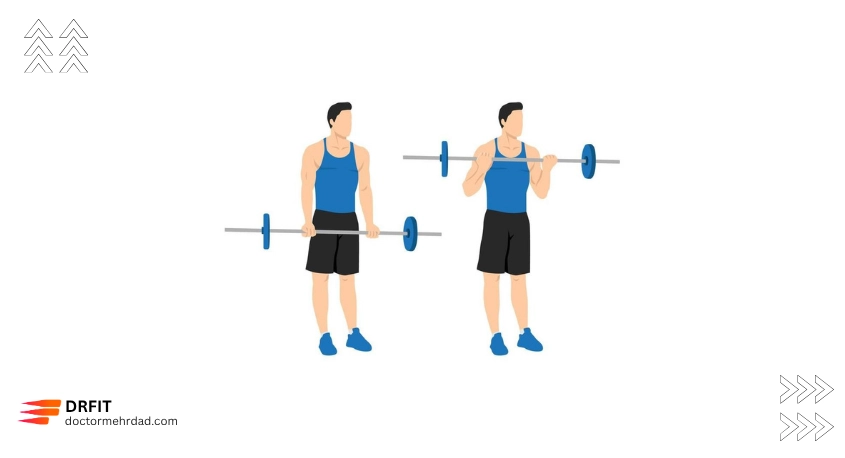 جلو بازو هالتر