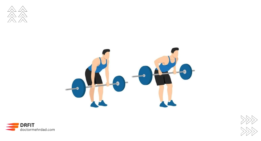 زیربغل هالتر خم