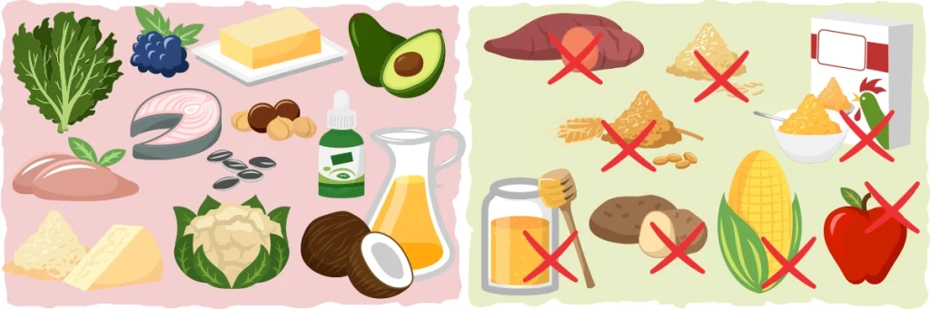 غذاهای مجاز و غیر مجاز در رژیم کتوژنیک