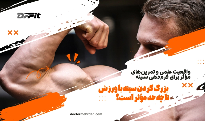 چگونه جلو بازو حجمی داشته باشیم؟ برنامه رایگان و نکات تمرینی