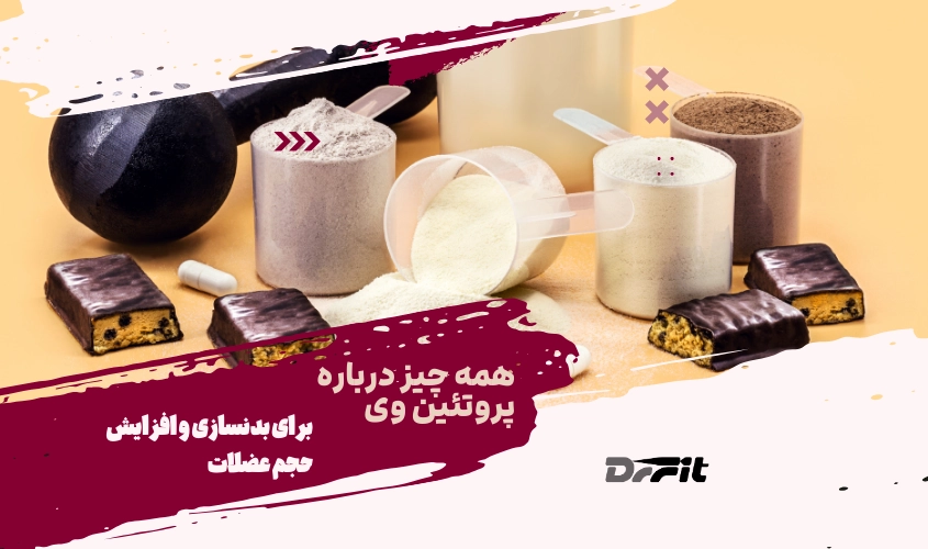 همه چیز درباره پروتئین وی برای بدنسازی و افزایش حجم عضلات