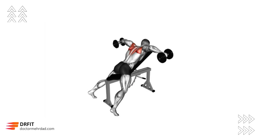 نشر خم دمبل