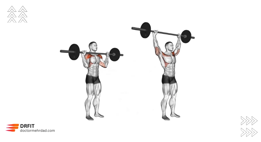 پرس سرشانه هالتر