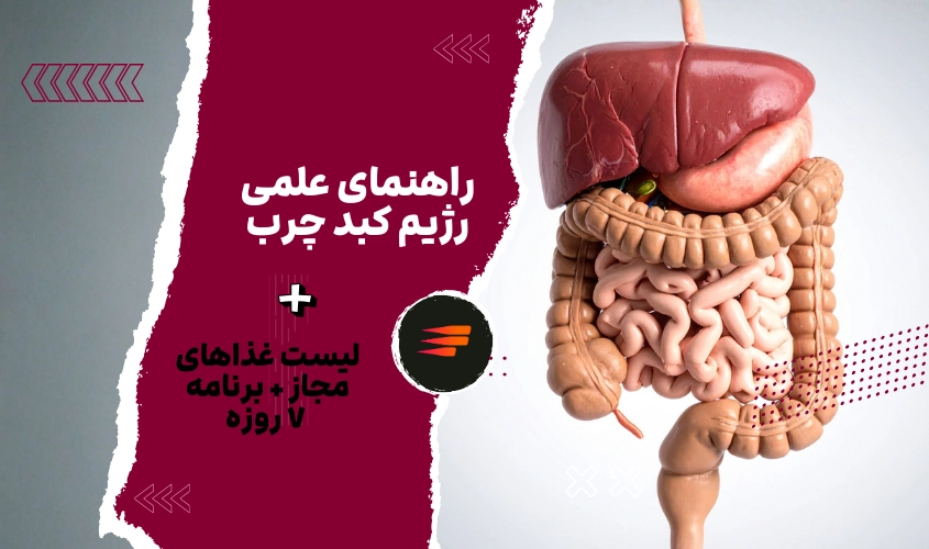 راهنمای علمی رژیم کبد چرب + لیست غذاهای مجاز + برنامه ۷ روزه