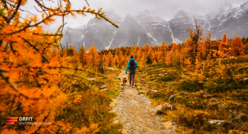 طبیعت گردی و پیاده روی برای افسردگی